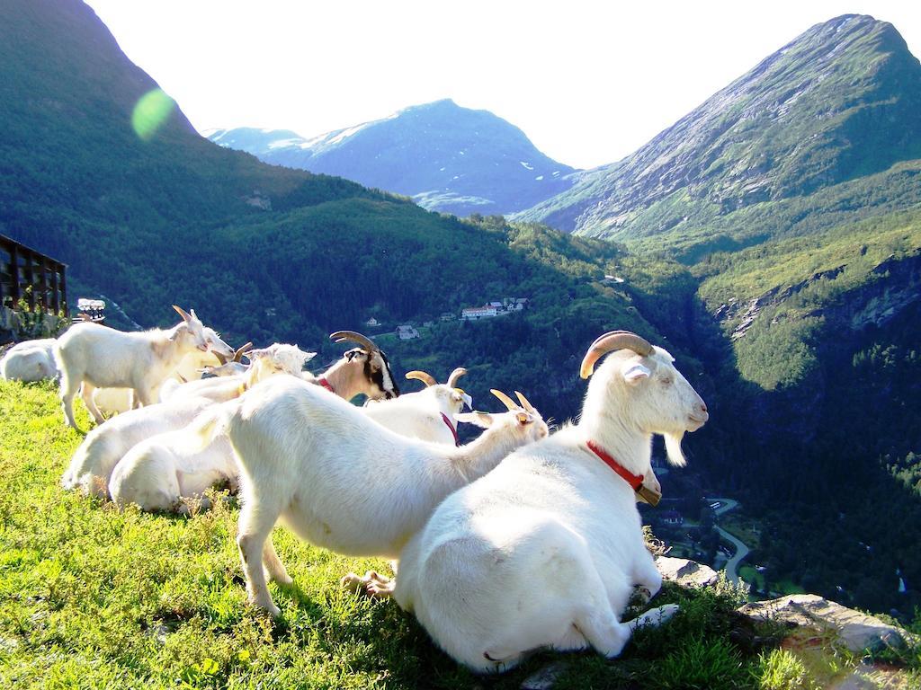 Westeras Gard Geiranger Eksteriør billede