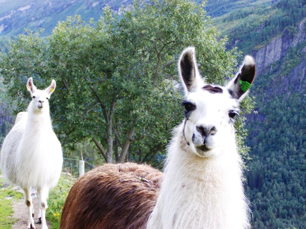 Westeras Gard Geiranger Eksteriør billede