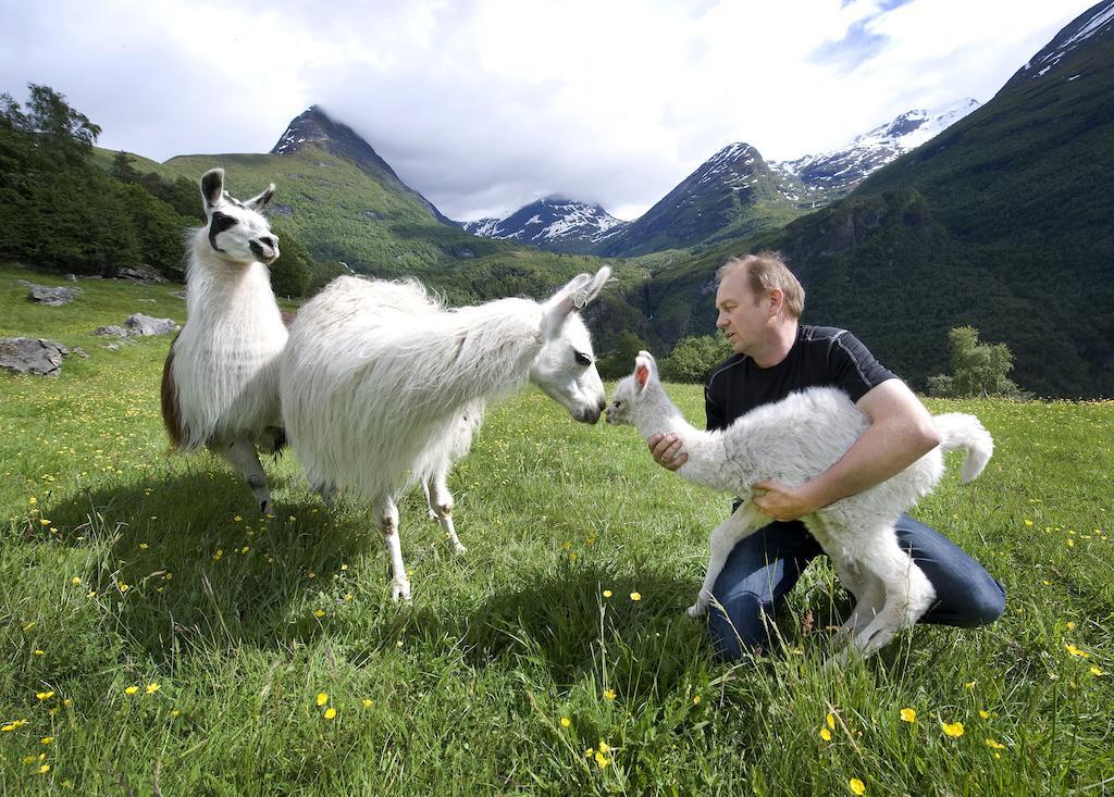 Westeras Gard Geiranger Eksteriør billede