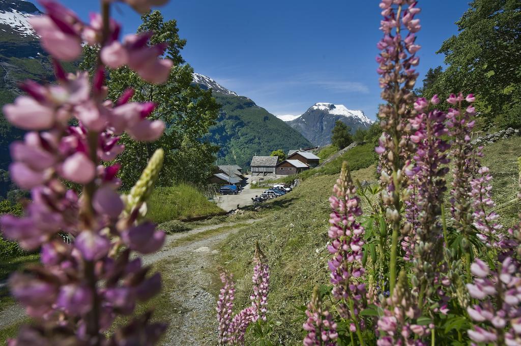 Westeras Gard Geiranger Eksteriør billede